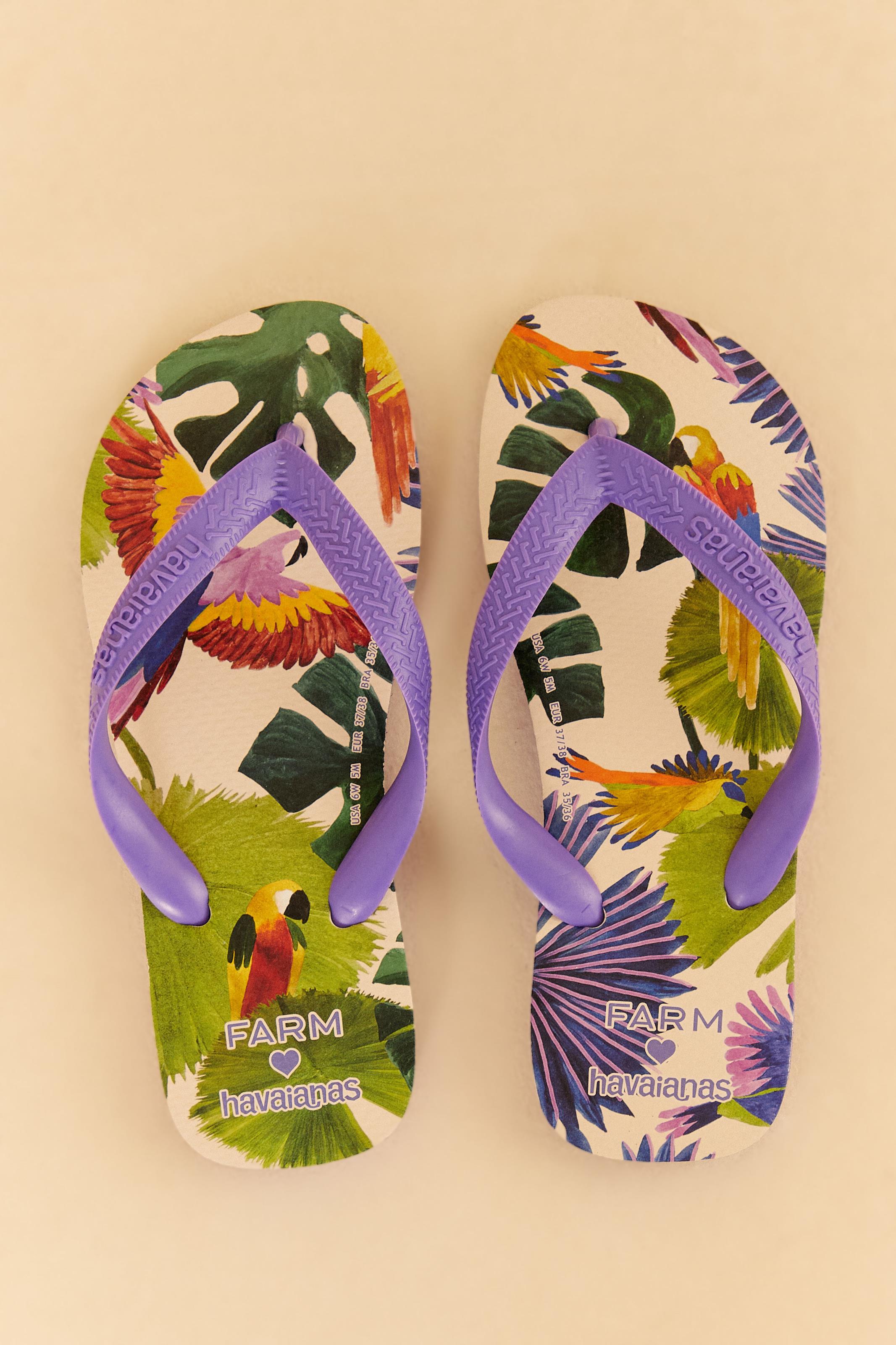 Havaianas Estampadas Pássaros Pintados