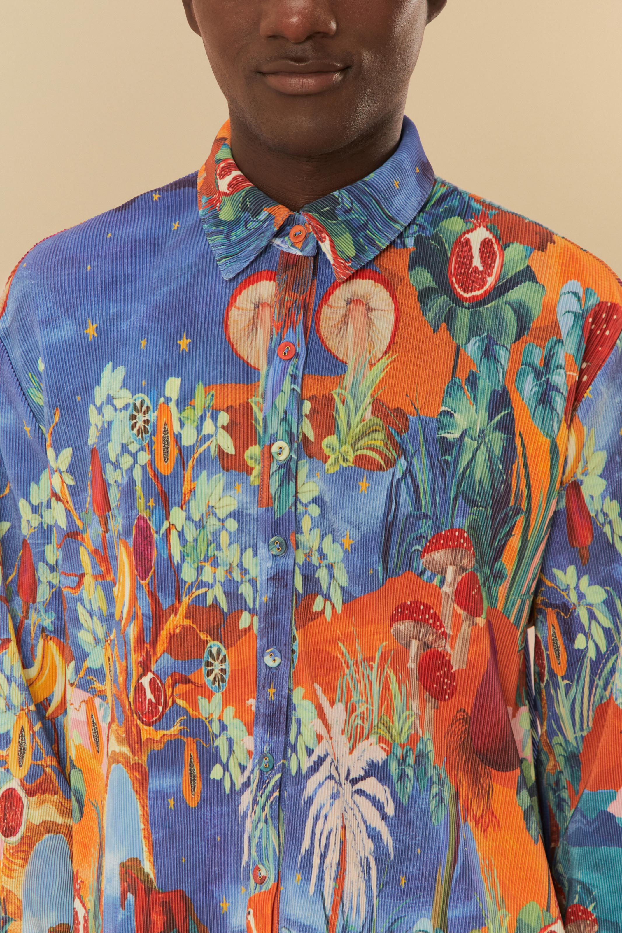 Camisa Plissada Estampada Paisagem De Sonho Corrida