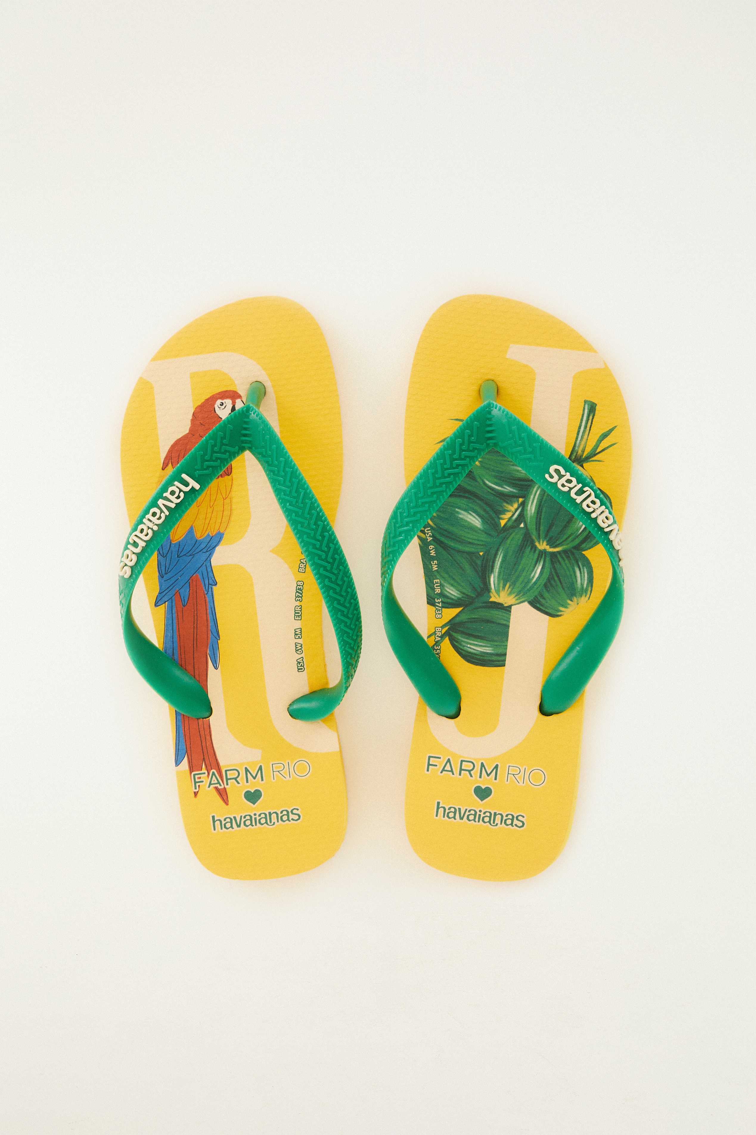 Havaianas Rj